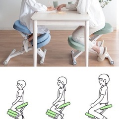 プロポーションチェア+予備カバー2万円相当の画像