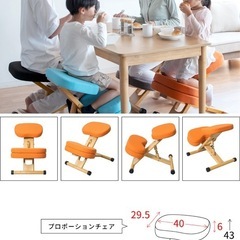 プロポーションチェア+予備カバー2万円相当の画像