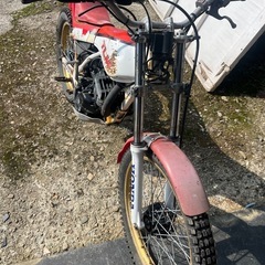 HONDA.  TLM200Rの画像