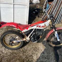 HONDA.  TLM200Rの画像