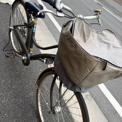 [限定カラー！]ブリヂストン エブリッジL 26インチ の画像