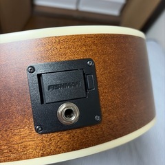 ポールリードスミス　エレアコの画像