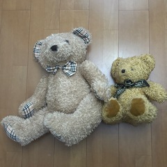 クマのぬいぐるみの画像