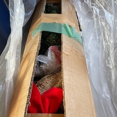 クリスマスツリー類の画像