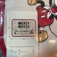 ディズニーリゾート購入 ランチョンマットの画像