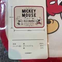 ディズニーリゾート購入 ランチョンマットの画像