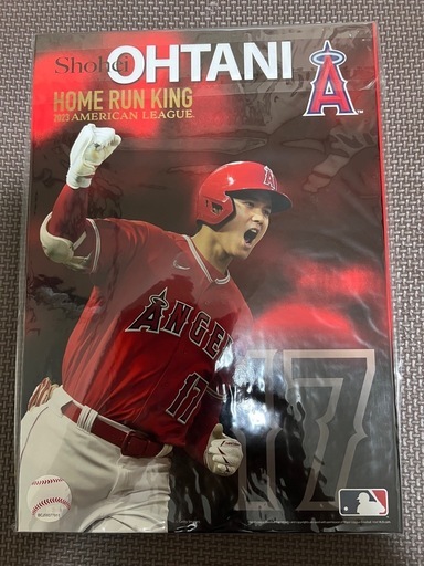 大谷翔平　ホームランキング　