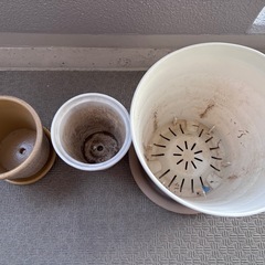 〈物置整理〉プランター　鉢植えの画像