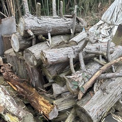 薪ストーブに　原木　無料　条件ありの画像