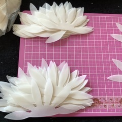 飯田深雪　抜き弁　カット弁　夏水仙　5袋の画像