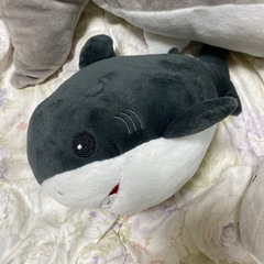 サメのぬいぐるみセットの画像