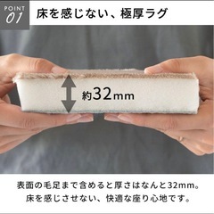 極厚カーペット オールシーズン用の画像