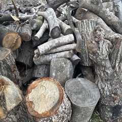 薪ストーブに　原木　無料　条件ありの画像