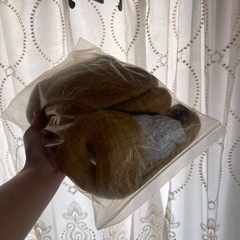 賭ケグルイミアリ桂の画像