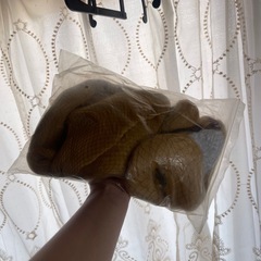 賭ケグルイミアリ桂の画像