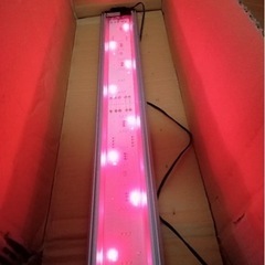 GEX　Clear LED power 3 600の画像