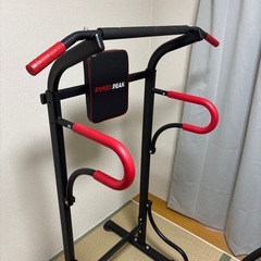 PYKES PEAK 懸垂マシンの画像