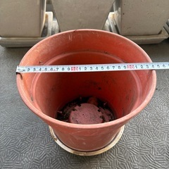 【お話し中】陶器鉢植え+受け皿　4個セット＋受け皿付きプラ鉢2個セットの画像