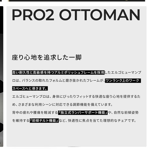 【値下げしました！】エルゴヒューマンプロ2 オットマン付