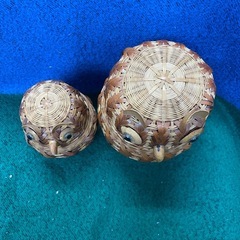 竹細工 フクロウ 小物入れ 2点セット 福来る 不苦労 ふくろう 置物 かご インテリア 小物入れ 竹細工 置物 縁起物 木製 の画像
