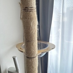 キャットタワーの画像