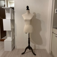 トルソー9号の画像