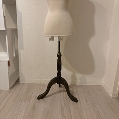 トルソー9号の画像