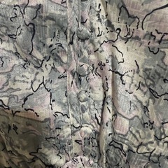 ワンピースの画像