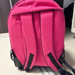 【候補者様とお話し中】リュックにもなるキャリーの画像