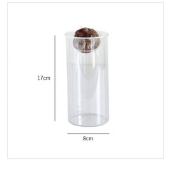 SPICE OF LIFE（スパイス）水耕栽培 ガラスベース バルブベースクリア　ロングの画像