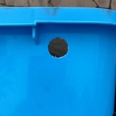 決まりました、すみません。めだか飼育ケースの画像