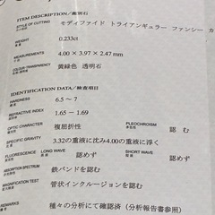 隕石の軌跡　パラサイトペリドット‼️の画像