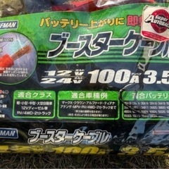 バッテリーケーブルと充電器の画像