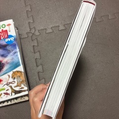 小学館の図鑑カブトムシ　クワガタの画像