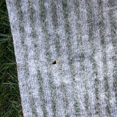 ナフコ 防草できる人工芝1m×10m の画像