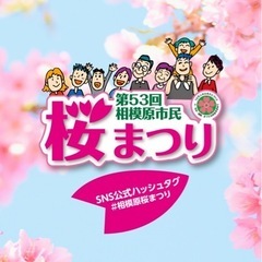 桜まつり@相模原でめだか掬い、改良めだか販売