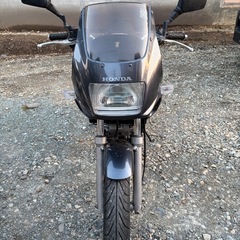 ゼルビス250の画像