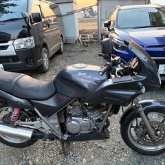 ゼルビス250の画像