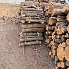 薪　ニセアカシア（ハリエンジュ）70cm玉切済　直径数cm〜30cm程度　軽トラ大盛りの画像