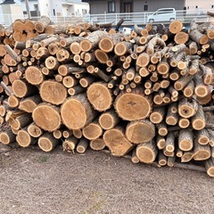 薪　ニセアカシア（ハリエンジュ）70cm玉切済　直径数cm〜30cm程度　軽トラ大盛りの画像