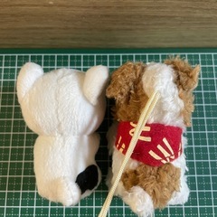 ワンコセットの画像