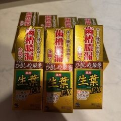 [セット販売] 生葉EX 7本セットの画像