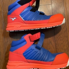 ミズノ安全靴の画像