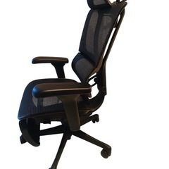 【極美品】エルゴヒューマン FIT2 Liteの画像