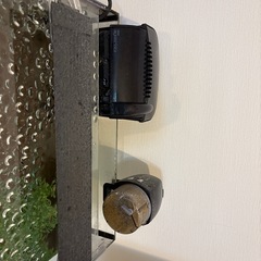 グッピーと水槽セットの画像