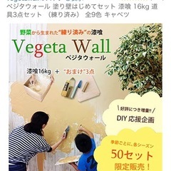 漆喰　練り済　道具付きの画像