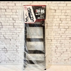 長谷川工業 専用脚立 脚軽BLACK 脚軽ブラック RZB-15b 5段の画像