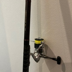 ダイワ 磯風2-53 シマノ NEXAVE C3000HG 釣具の画像