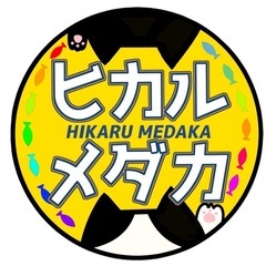 めだかの無人販売