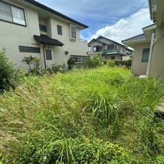 NEXT GREEN🌱‬‪🌿 営業・勧誘のお電話は一切お断…